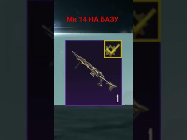 забрал МК 14 Галактическая позолота #набазу #пабг #pubgmobile #pubg #mk14