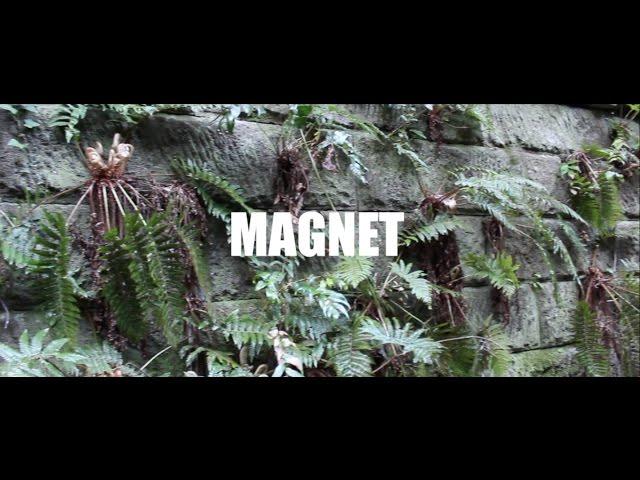 Jua - MAGNET feat.B-BANDJ