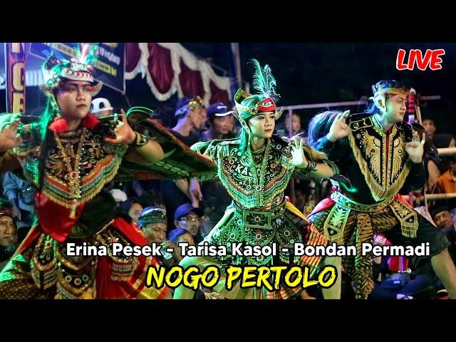 Bondan Permadi -Tarisa Kasol - Erina Ratu Celeng Jaranan Nogo Pertolo Live Ponorogo