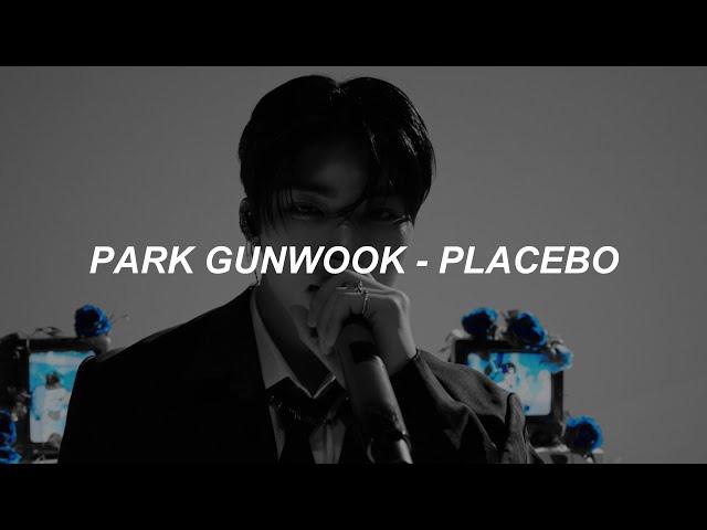 [with video] ZEROBASEONE : PARK GUNWOOK - ‘Placebo’ Easy Lyrics