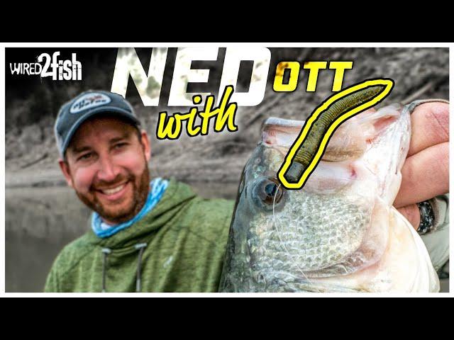 MASTER Ned Rig Fishing with Ott DeFoe