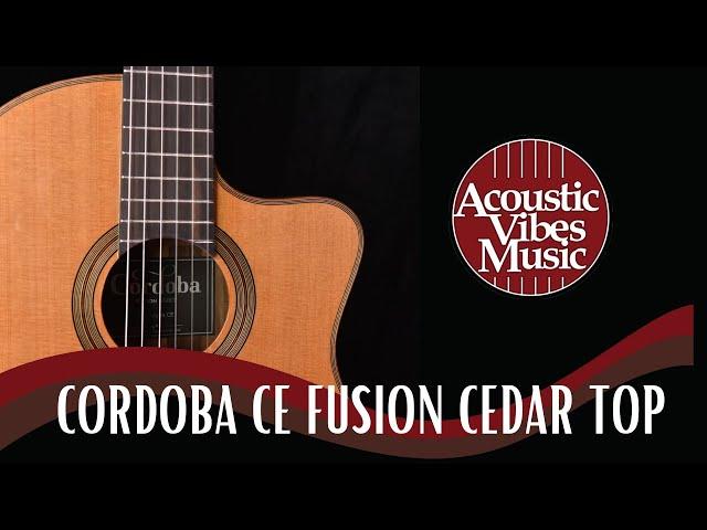 Cordoba Fusion Series-  Cedar Top Guitar [Review/Demo] at Acoustic Vibes Music