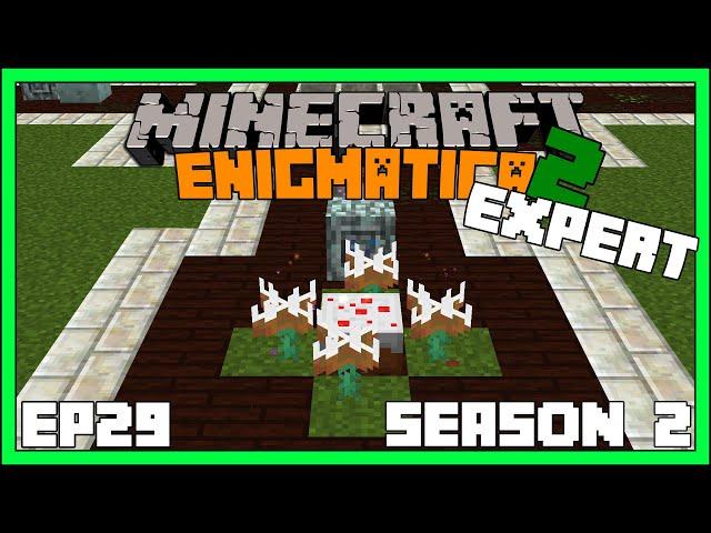 Kekimurus & Automated Manasteel - S2EP29 - Enigmatica 2: Expert