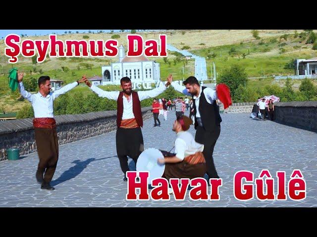 Havar Güle Halay Govend Cida - Şeyhmus Dal - (Official Video)