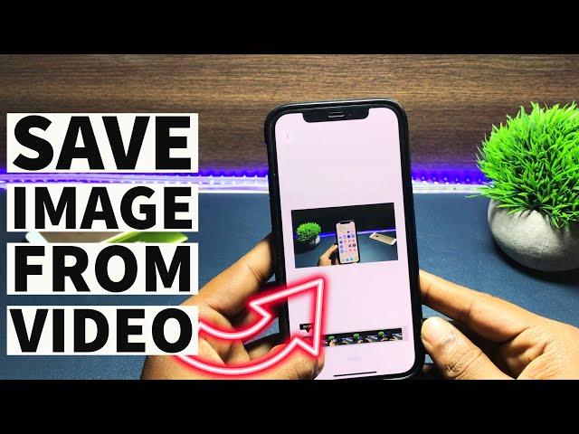 How to Save Frame from Video on iPhone I How to Save Still Images from Video on iPhone