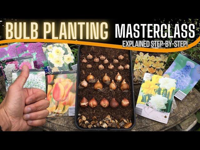 The Art of PLANTING BULBS in POTS & CONTAINERS Explained: LAYERING Tulips, Daffodils AND Crocus