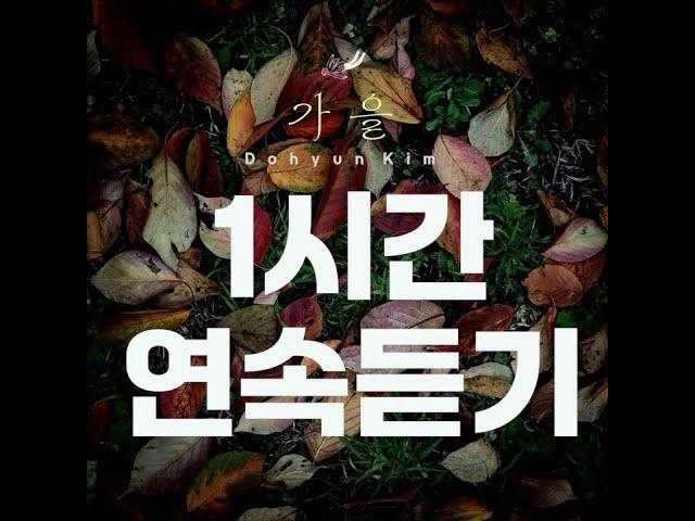 가을 Autumn  秋 1시간 연속듣기