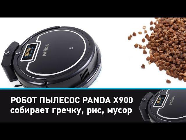 Обзор Робот пылесос Panda X900 собирает рис, гречку, мусор. Панда X900 обзор модели робота пылесоса