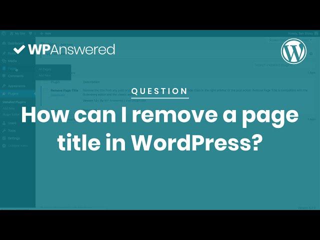 How to Remove Page Titles from WordPress the Right Way