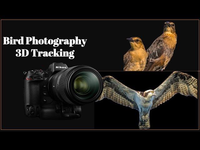 Bird Photography - 3D Tracking