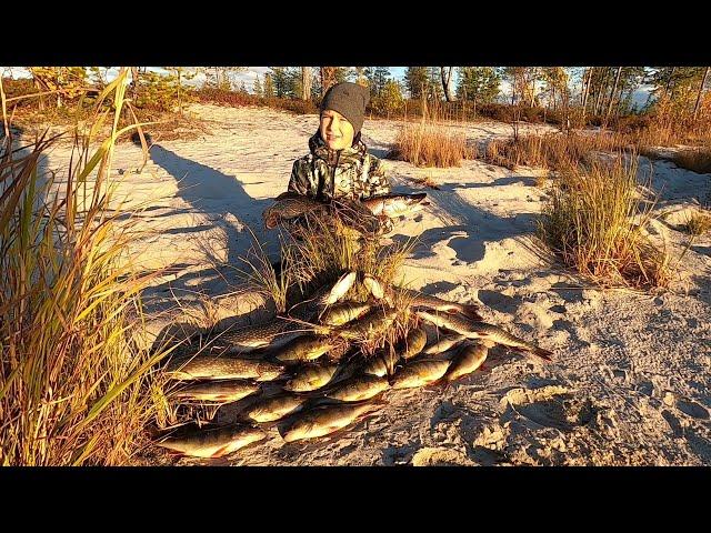 РЫБАЛКА КЛЁВЫМ ВЕЧЕРОМ НА МОРДАТЫХ ОКУНЕЙ, ЖИРНУЮ СОРОГУ И ГОЛОДНЫХ ЩУК В БАБЬЕ ЛЕТО НА ЯМАЛЕ!