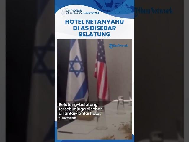 Viral Video Hotel Netanyahu di AS Disebar Belatung, Diduga Dilakukan Aktivis Pembela Palestina