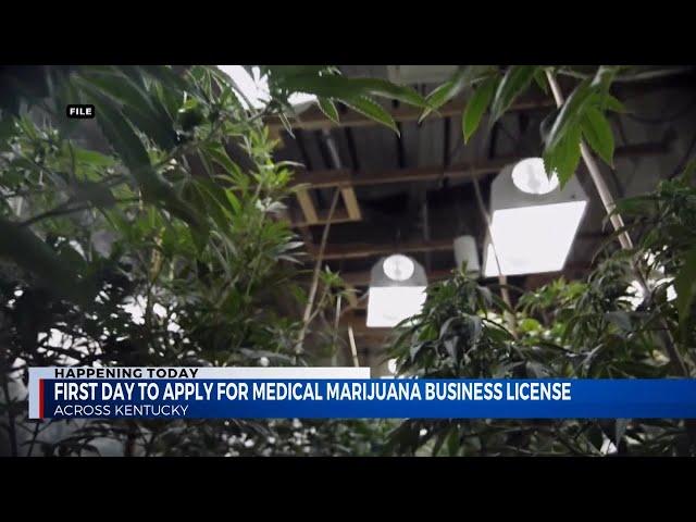 First day to apply for medical marijuana business license in Kentucky