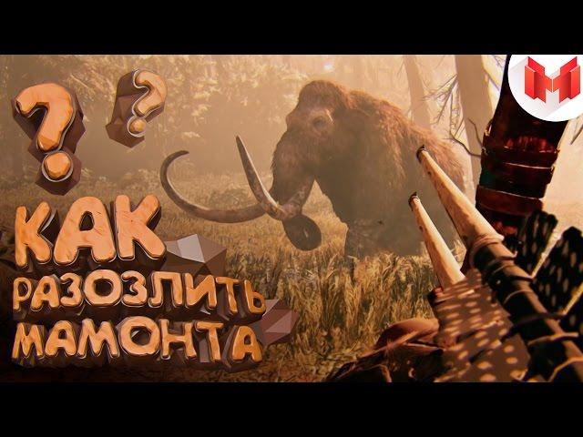 Far Cry: Primal "Баги, Приколы, Фейлы"