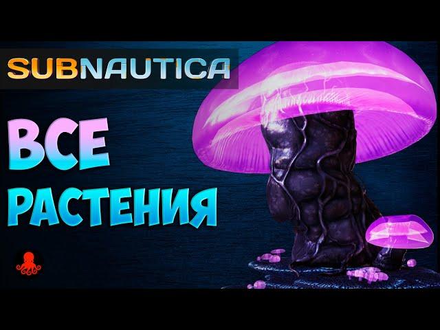 ВСЕ РАСТЕНИЯ Subnautica