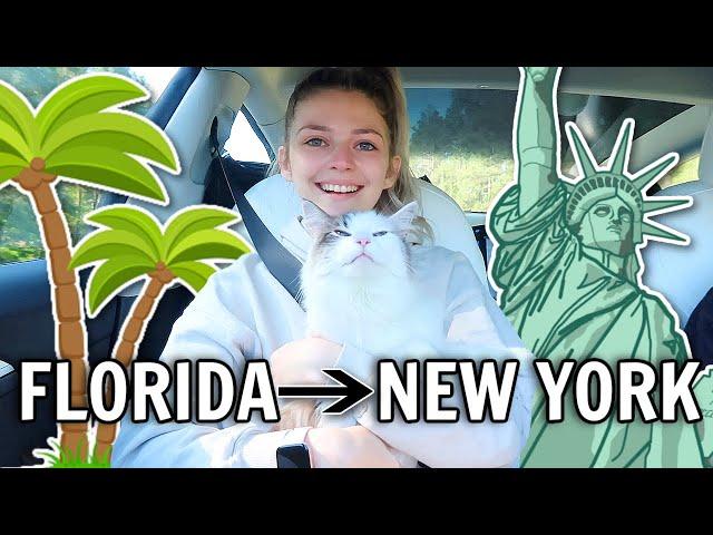 3 Day Road Trip Vlog! | Florida to New York in a Tesla *with cats*