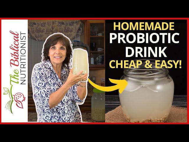 2-Ingredient Probiotic Drink Recipe | How To Make Probiotic At Home