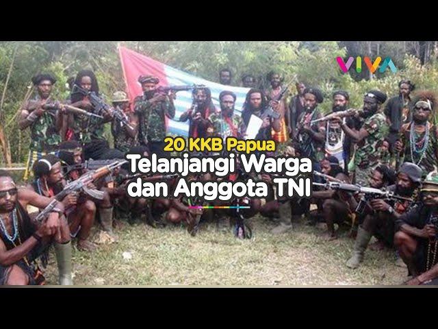 KKB Papua Cegat dan Aniaya 8 Orang, Korban Wanita dan TNI