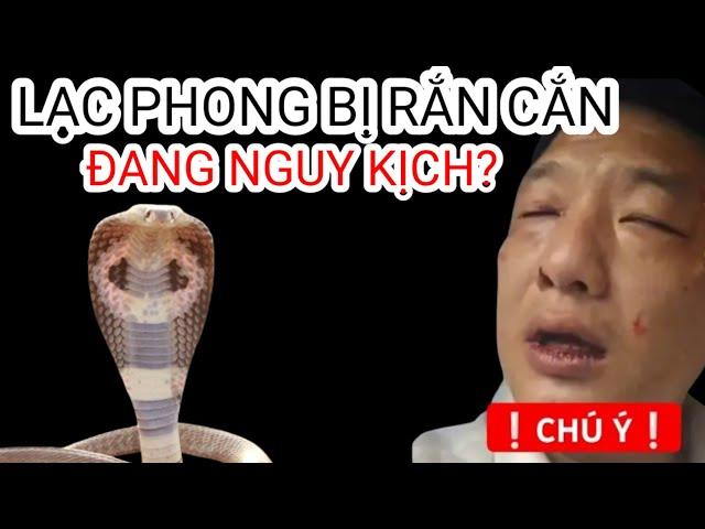 Lạc Phong Bị Rắn Cắn - Nguy Kịch?