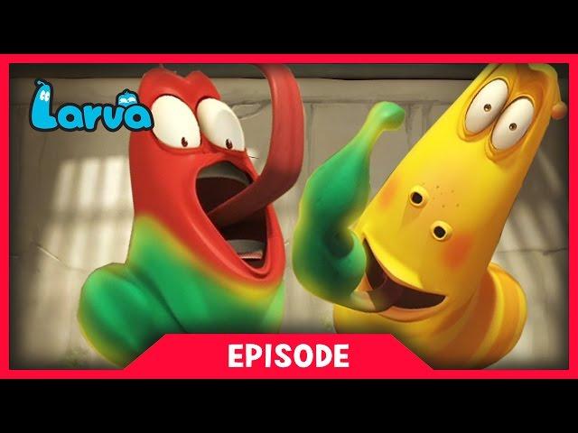 LARVA - SUPER STRENGTH | 2017 Cartoon Movie | Cartoons | Comics | 라바 | LARVA Official