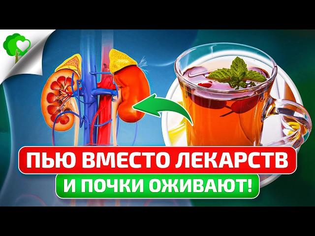 ВРАЧИ В ШОКЕ! Почки ЧИСТЫЕ и РАБОТАЮТ на 115%! ПРОСТОЙ СПОСОБ избавит от КИСТ И КАМНЕЙ! ЦИСТОН!