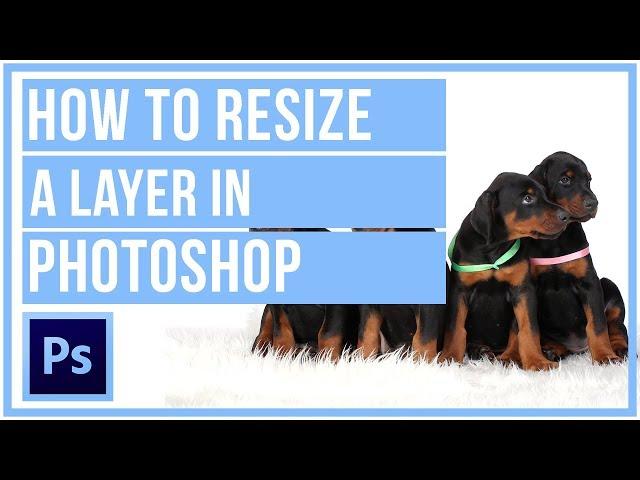 How To Resize A Layer In Photoshop CC - Photoshop Tutorial