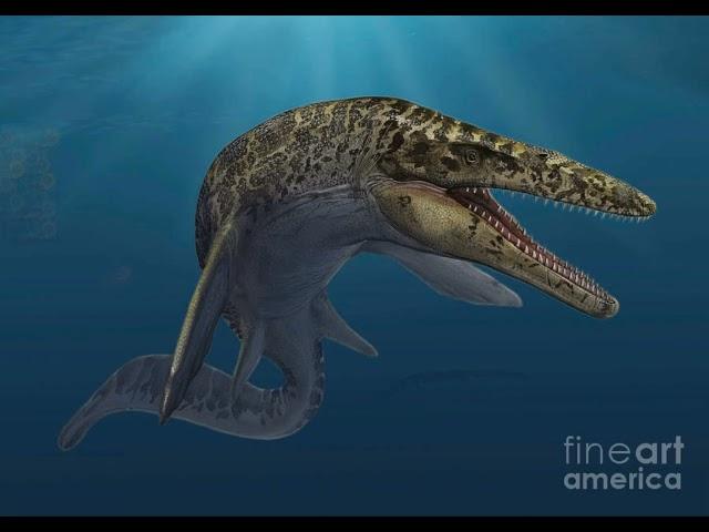 Mosasaurus Sound Effects  