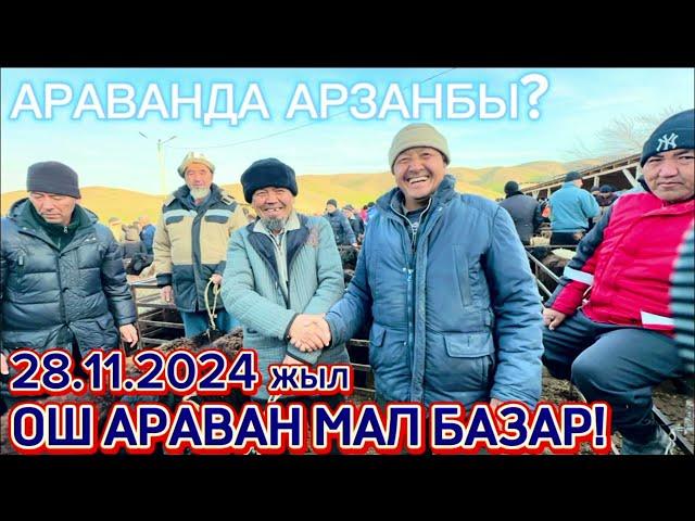 28.11.2024 АРАВАНДАГЫ АРАШАНДАР  БААСЫ КАНДАЙ?