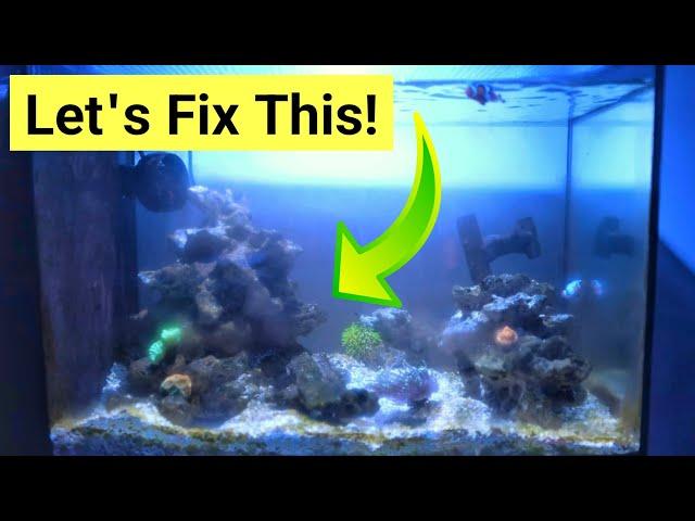 How To Fix Problems In A Saltwater Aquarium (5 Steps)