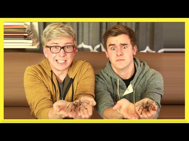 The Tarantula Challenge (ft. Connor Franta) | Tyler Oakley