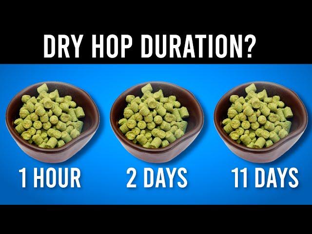 How Long Should You Dry Hop? | exBEERiments