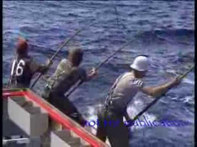 Tuna fishing 85 Port Lincoln 150 lbs plus fish biggest seen in my years fishing