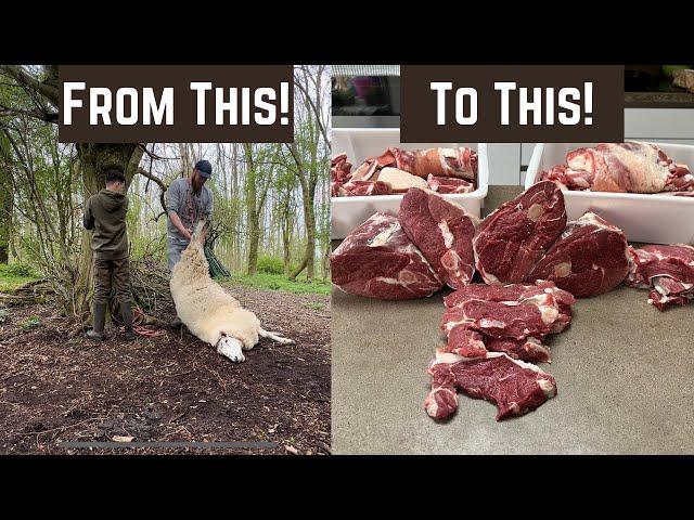 Home Kill And Home Butcher A Lamb!!