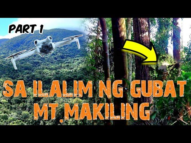 part 01/ITO PALA ANG MAKIKITA SA GITNA NG MOUNT MAKILING.NAKAKA-MANGHA.