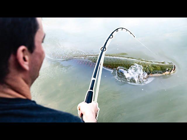 EXTREME Fishing in Thailand!