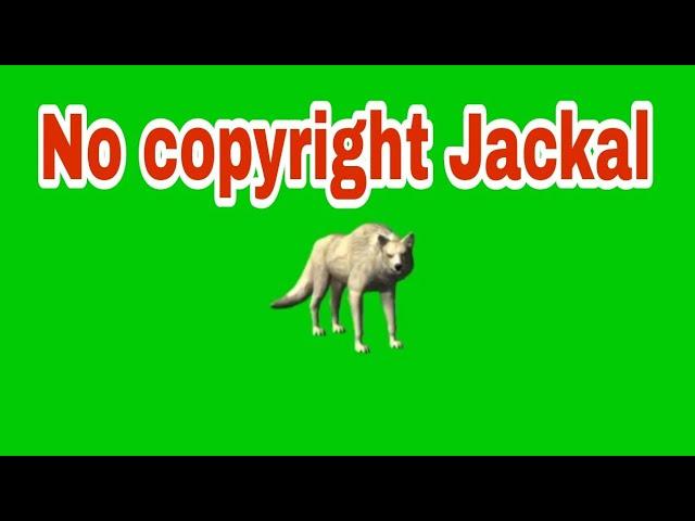 # Jackal green screen video # no copyeight #