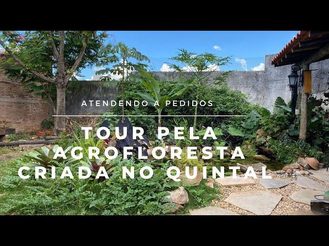 TOUR AGROFLORESTA CRIADA NO QUINTAL DE CASA.#agrofloresta #jardim #quintal