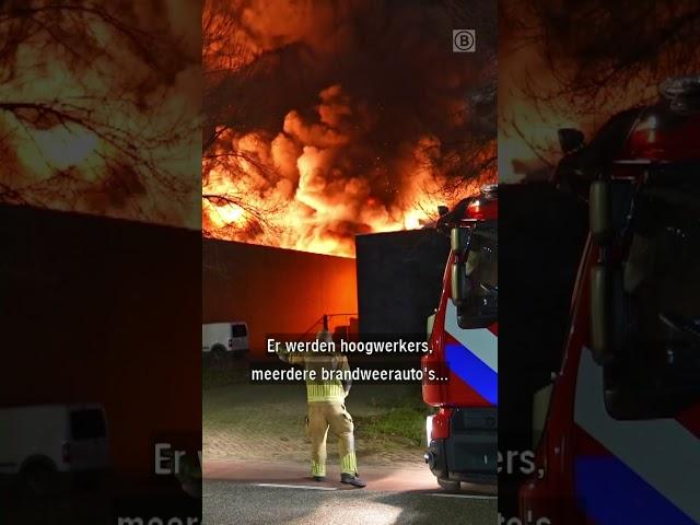 IJSFABRIEK VERWOEST door BRAND | #shorts