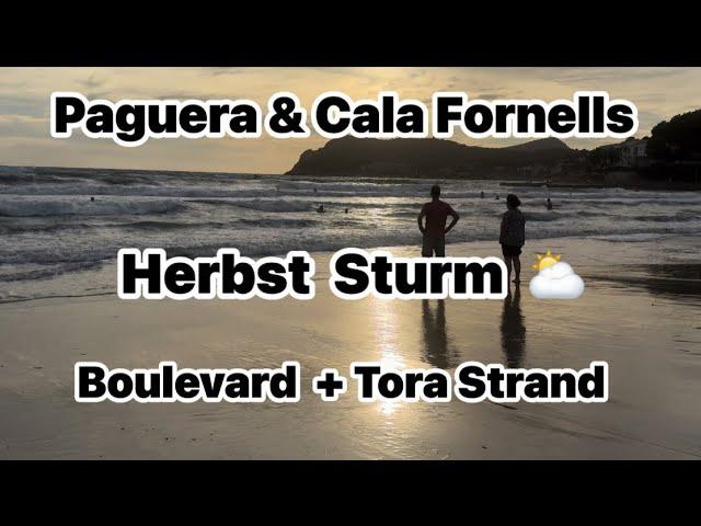 Paguera ️ Cala Fornells  Herbst Sturm ️ Polizeikontrollen  Boulevard & Tora Strand ️ 26° 