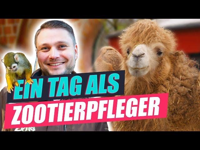 Tierpfleger im Zoo - Artenschutz, Kritik und Tierliebe? | Was machst Du so?