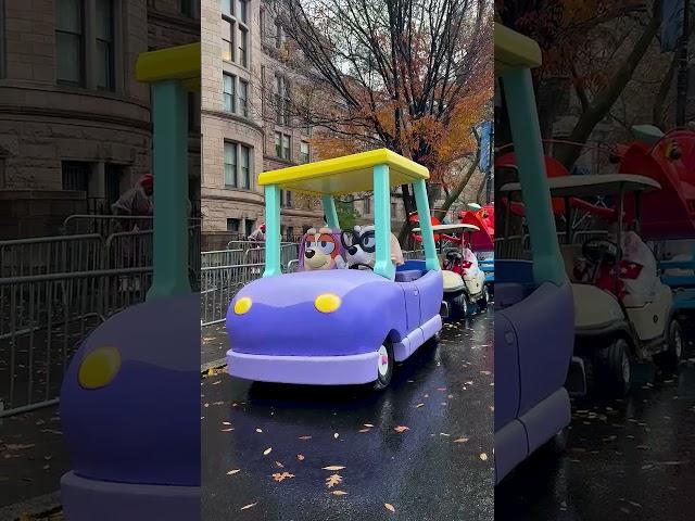 The Grannies at the Macy's Thanksgiving Day Parade  | Bluey