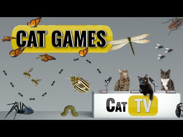 CAT Games | Ultimate Cat TV Bugs and Butterflies Compilation Vol 3 🪲  | Videos For Cats to Watch