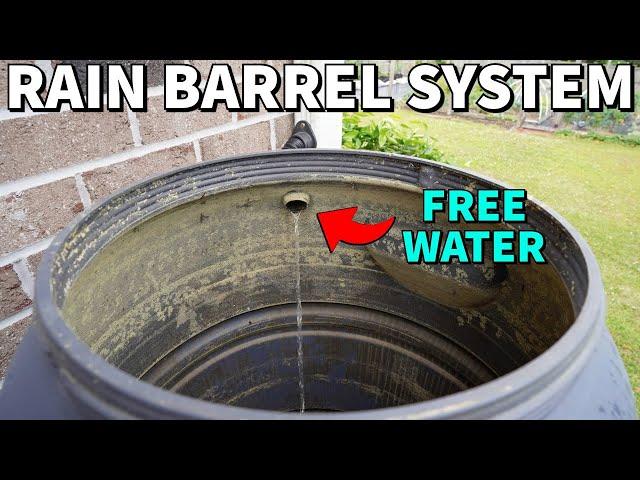 Rain Barrel Test: Is This The Best Way To Harvest Water?