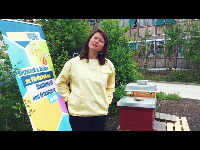 Artenvielfalt in der Stadt: Thüringer Umweltministerium bietet Bienen ein Zuhause