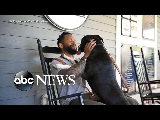 Service dogs help veterans suffering from physical injuries, PTSD