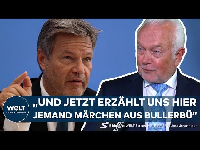 DEUTSCHE WIRTSCHAFT: "Jeden Monat, wird die Situation schlimmer" - Kubicki schießt gegen Habeck