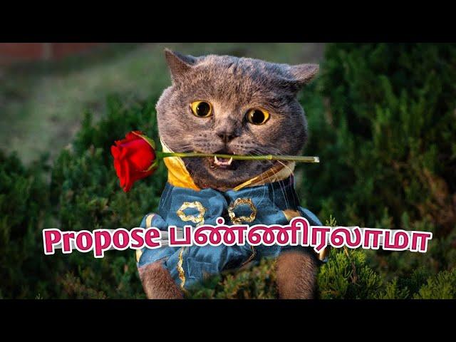 ANIMALS Funny Mind Voice 24 Sothanaigal | Tamil | SIMPLE WORLD