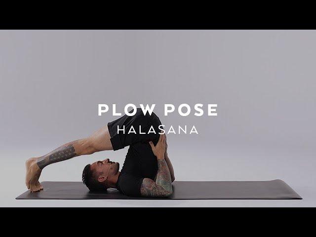 How to do Plow Pose | Halasana Tutorial with Dylan Werner