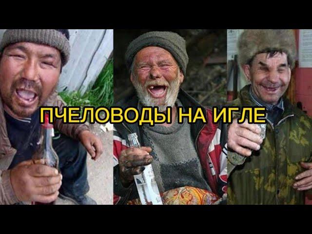 Пчеловоды на ИГЛЕ!!! Все, что надо знать о породах пчёл.