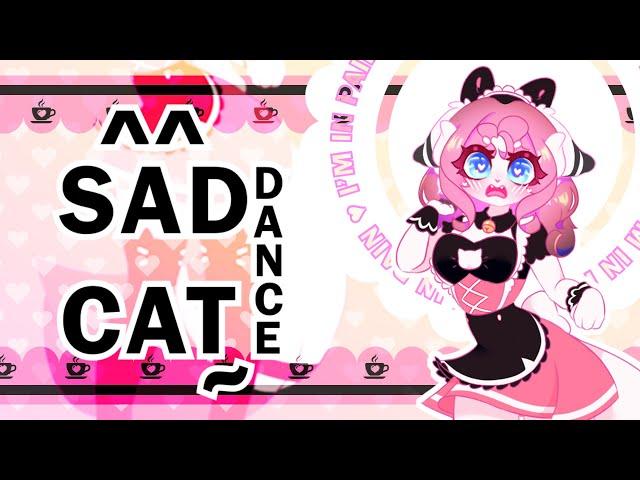 SAD CAT DANCE ll MEME